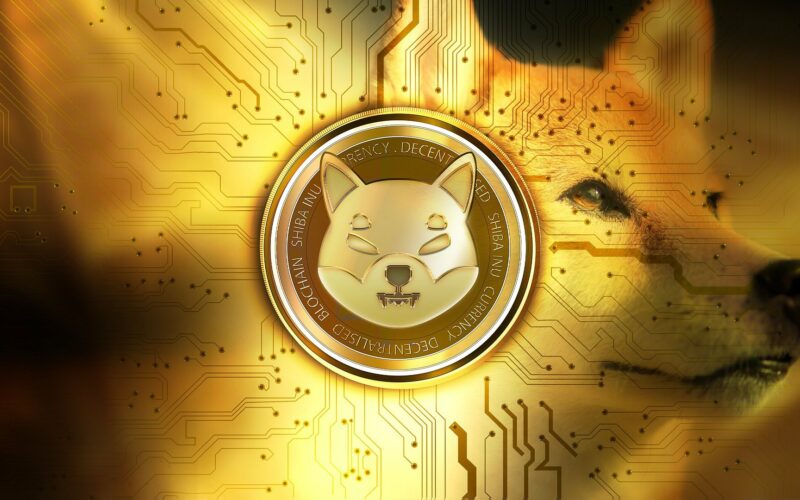 Crypto Investors have Taken an Interest in Shiba Inu Token During the Price Drop